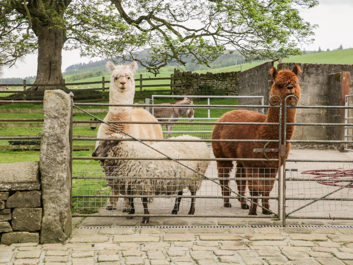 Bay Horse Holiday home *